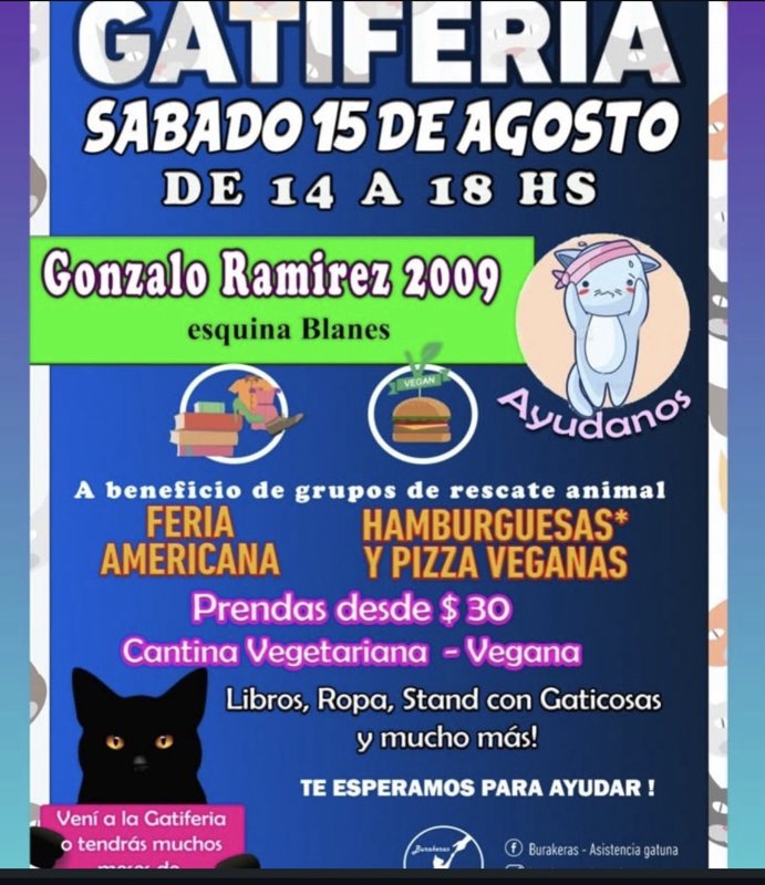 GATIFERIA A BENEFICIO