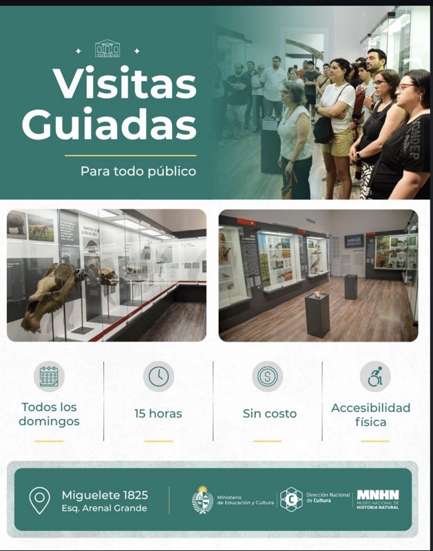VISITA GUIADA MUSEO NACIONAL DE HISTORIA NATURAL