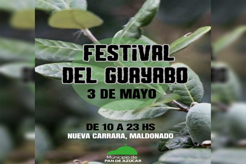 FIESTA DEL GUAYABO