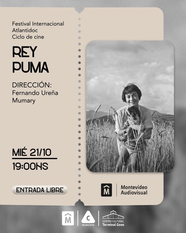 MIÉRCOLES DE CINE: REY PUMA