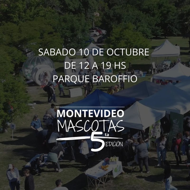 MONTEVIDEO MASCOTAS