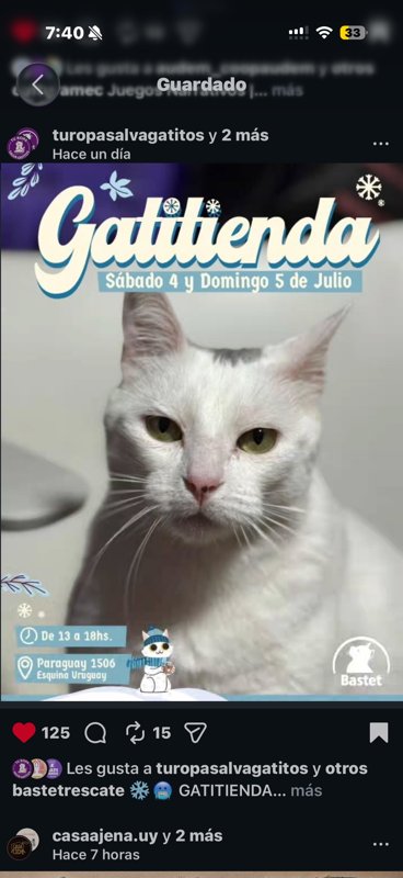 GATITIENDA SECONDHAND