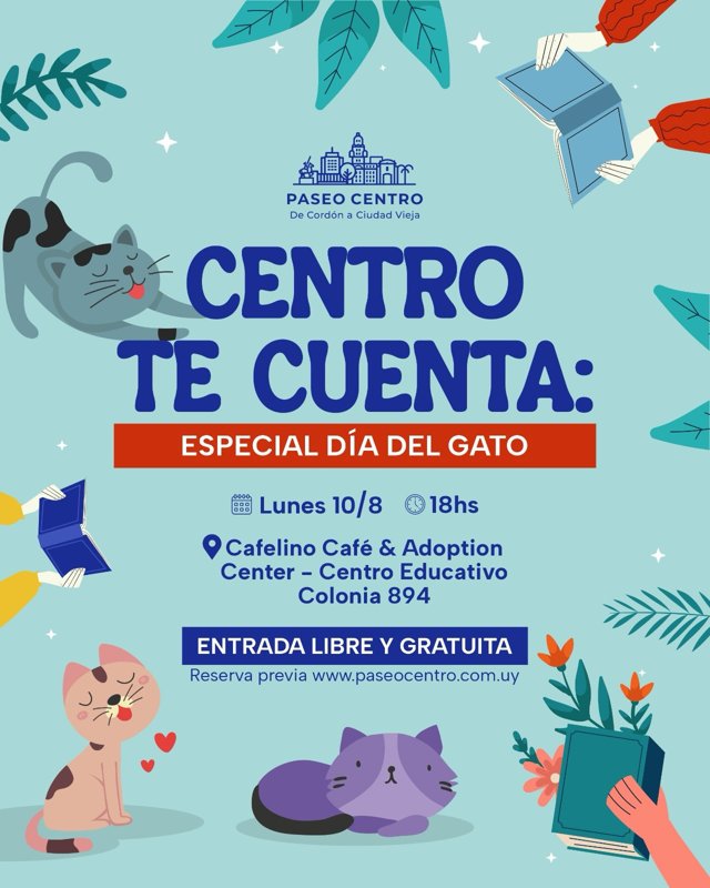 ESPECIAL DIA DEL GATO