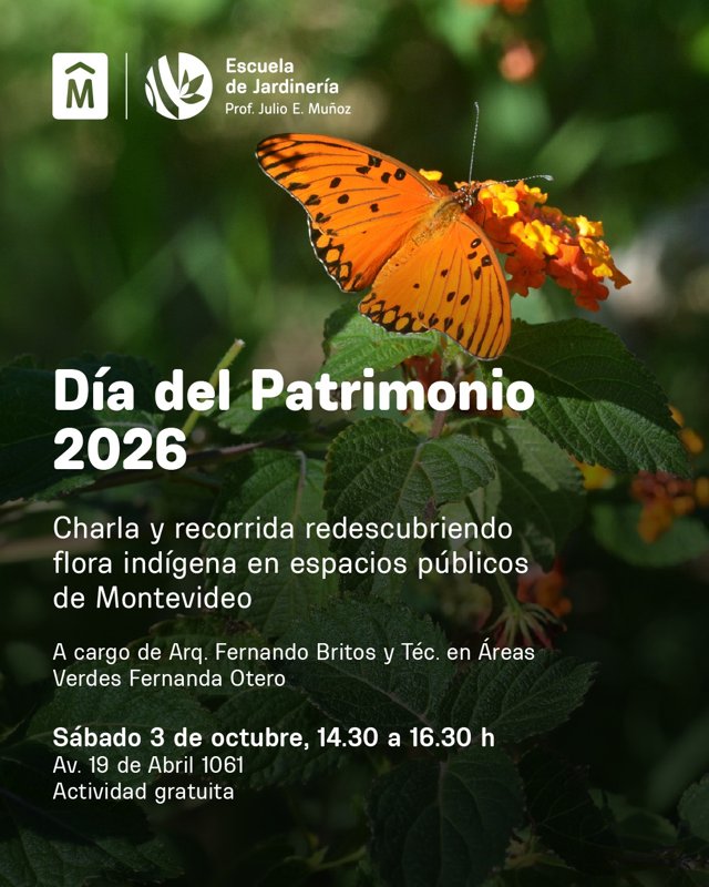 REDESCUBRIENDO FLORA INDÍGENA